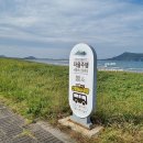 버스정류소(17215)(1) | 제주도 성산일출봉 자율주행 셔틀버스 이용 후기