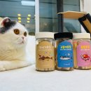 바다고양이식탁 이미지