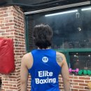 엘리트 복싱 Gym 이미지