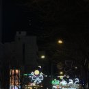 마포안과의원 | 12월 2주차 후기