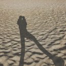 행복한이야기 이미지