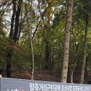 방아다리근린공원 | 양재역~ 방아다리 근린공원~말죽거리공원~바우 뫼공윈~양재천~양재시민의 숲 말죽거리공원 공사중 산책...