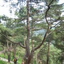 산막이옛길 이미지