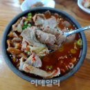 맛동네 이미지