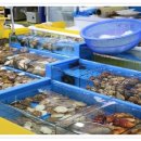 풍년수산 이미지