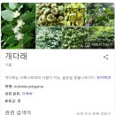어라인