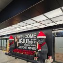 제일김치 | 제주 여행 중 제일 맛있었던 메뉴, 고등어 쌈밥 김치찜 솔직 후기