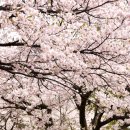 환상1리 이미지