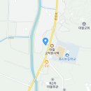 대월닭