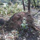 송씨네농장 이미지