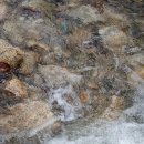 무릉약국 이미지