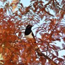 낙동강변8 이미지