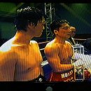 더블B복싱클럽 이미지