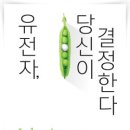 샤론통상 이미지