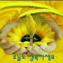 오늘하루;꽃