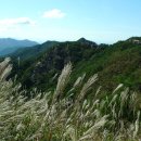 화왕산 티스토리