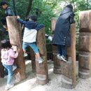 느티나무유치원 이미지