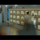펫바라기