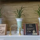 경희녹수한의원 이미지