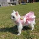 백점사 | 은평구 점집 [천지신명] 신점과 사주풀이 솔직 찐 후기