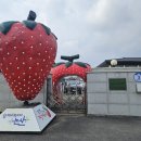 논산시농업기술센터 | 논산시 농업기술센터 견학