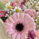 장량동 참사랑 이미지