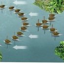 사천만회 이미지