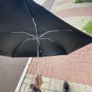 어피치마켓