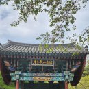 <등산, 서울>관악산 동백이: 사당능선~연주대(정상)~팔봉능선~관악산 공원