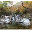 피아골 단풍공원 이미지