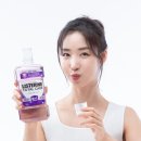 토탈몰