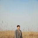 유채꽃길 이미지