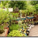 백로산장 이미지