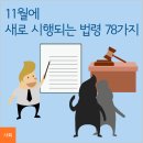 도서정가제 확대 등 11월에 새롭게 시행되는 법령 78가지 이미지