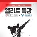 용인대 엘리트 태권도장 이미지