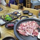 자생오리원 이미지