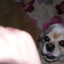 세바스챤 이미지