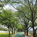 별내농협 협동조합하나로마트 | 지리산둘레길 9구간 구례 오미마을-원내마을-수달보호구역-용호정-서시천-연파마을-구만마을-난동마을...
