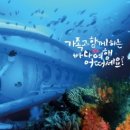 대국해저관광㈜(서귀포잠수함)