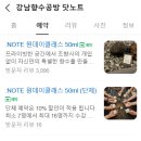 강남향수공방