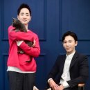 스타펫 이미지