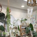 나도 도예가 | 경남,창원,마산, 진로체험 프로그램-도자기공예/도예가