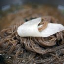 살구실막국수 이미지