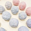 반려식물 원예화분 공예 이미지