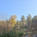 율곡수목원(2) Daum카페