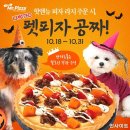 미스터펫