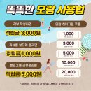[광주 프리다이빙 X 모람] 올 여름 물과 친해지는 시간