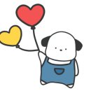 모모애견 이미지