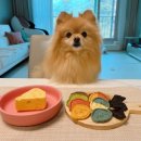 꾸메까까 이미지