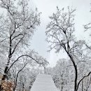 2월에 그린 동양화 같은 설경(雪景)(2024.2.22.목.)_남한산성 오르는 길 이미지